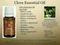 Ulei esential Clove cuisoare - Young living 5 ml