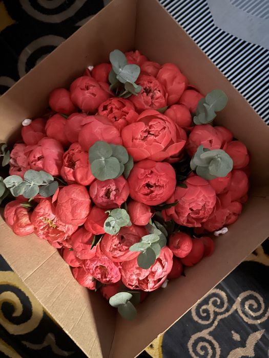 Цветы пионы срочно живые пышные