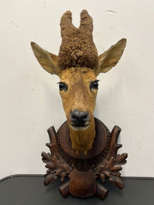 Трофей от сръндак