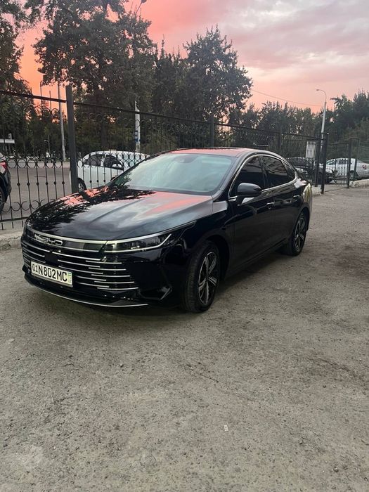 BYD chazor. 2024 4 pozitsa 120 km