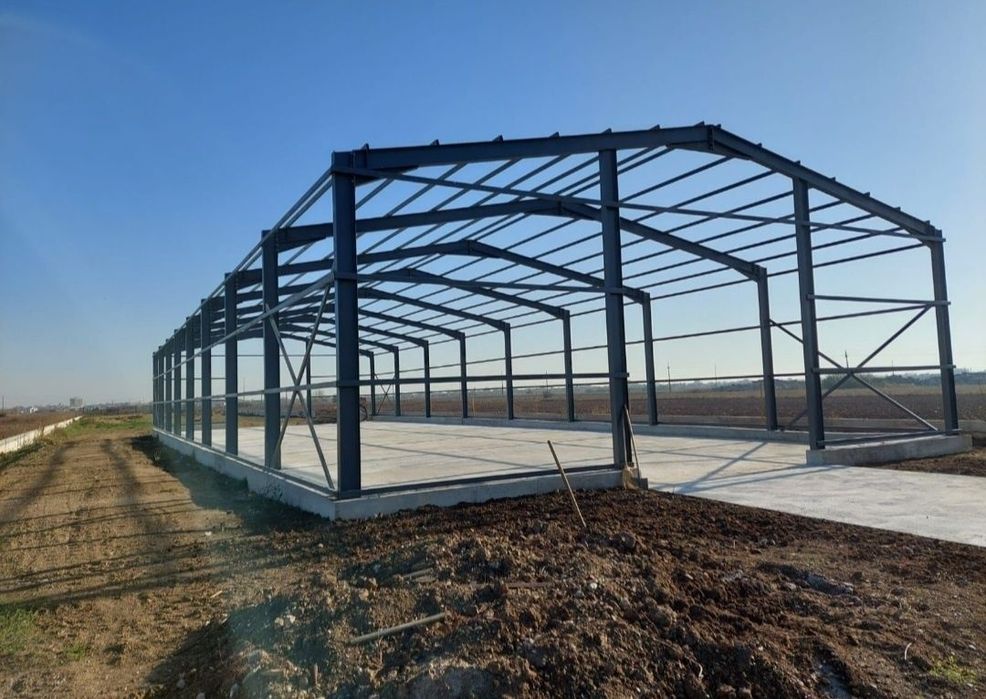 Vand structura metalica