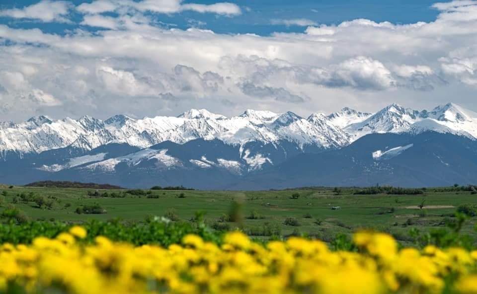 Teren Fagaras, Brasov