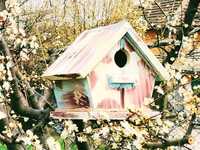 къща за птици; къщички за птички