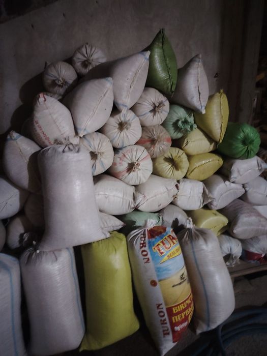 Apilka qipeq bor toza apilka chinor yongʻoq