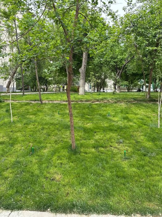 Продажа квартира дружба