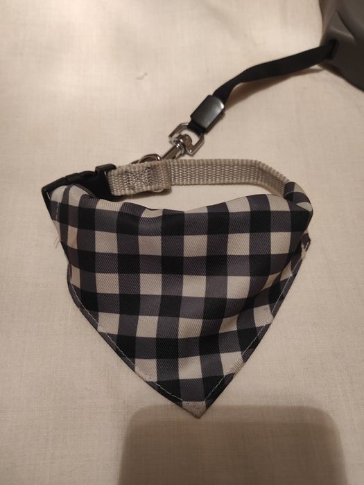 Lesa, zgarda piele și zgarda cu batic