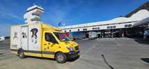 Transport autorizat caini si pisici - Ro, It, Fr, Es, Portugalia