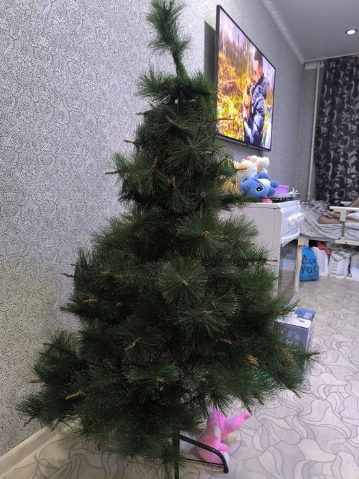 Продам елку 5000
