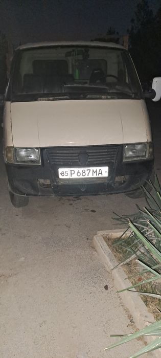 Gazel yaxshi xolatda