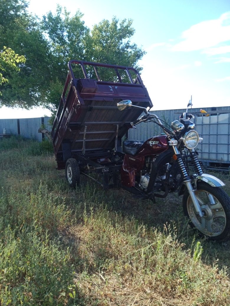 Трицикл Racer 200