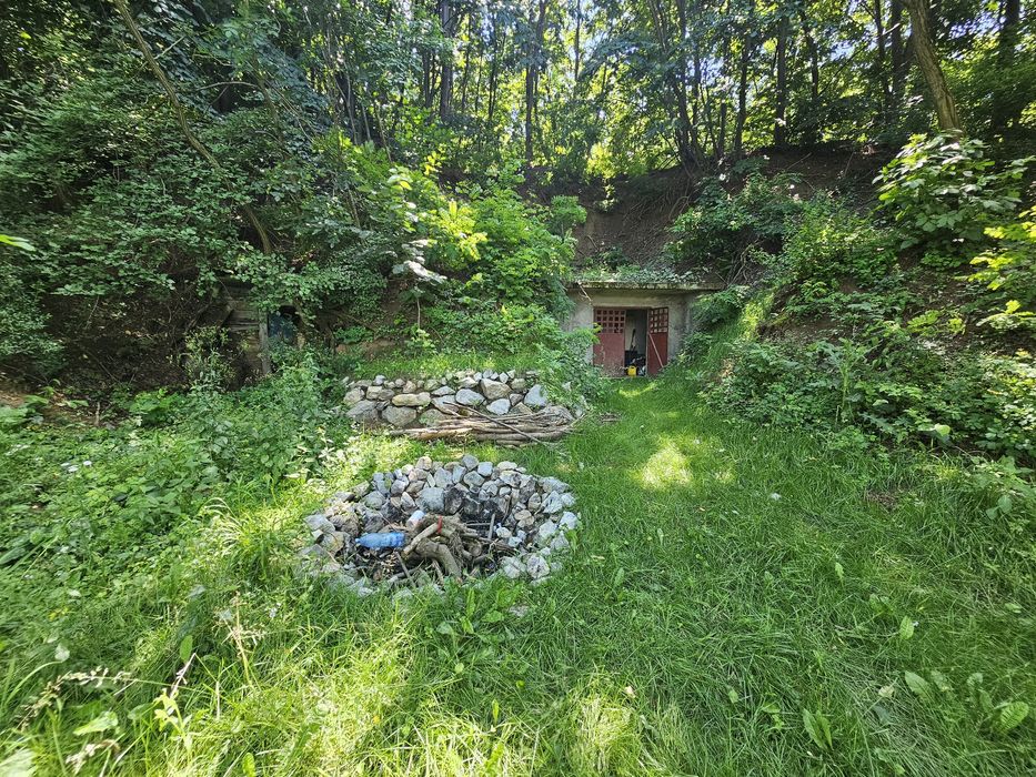 Vând Teren / Schimb 1100mp ( Vie + Pivniță ) Loc . Spinuș 28 km Oradea