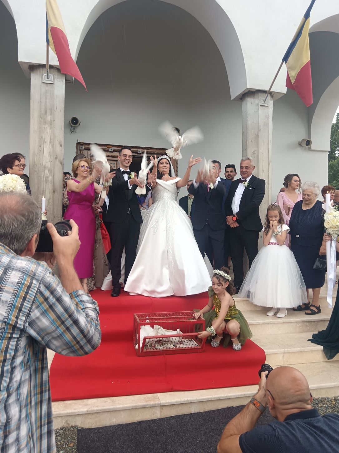 Porumbei evenimente Timișoara