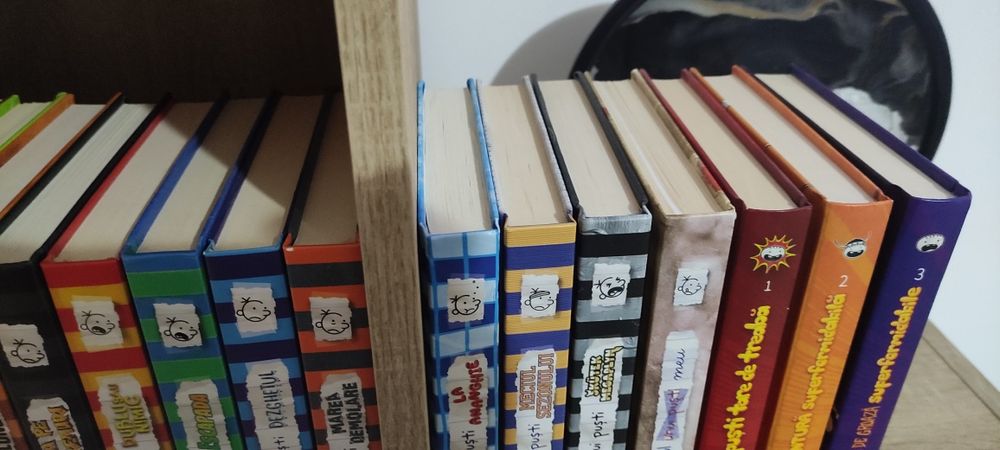 Serie Jurnalul unui puști 1-17