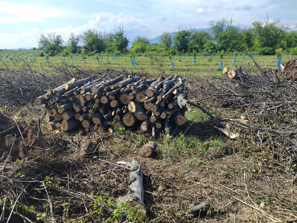 Дърва за огрев орех