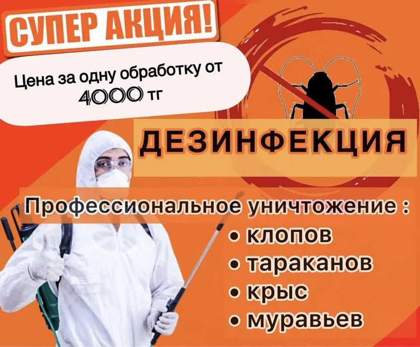 ‼️‼️‼️ Акция! 4000 тг. Дезинфекция, Дератизация, Дезинсекция!