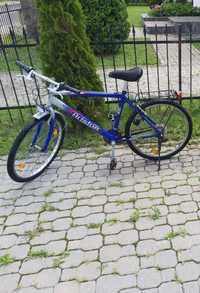 Bicicleta Ariston