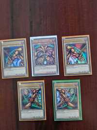 Yugioh card-collection