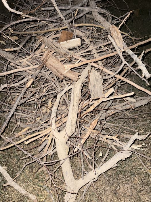 Ўтинлар сотилади ўрик дарахти ва тутдан утинлар бор нархи келишилади