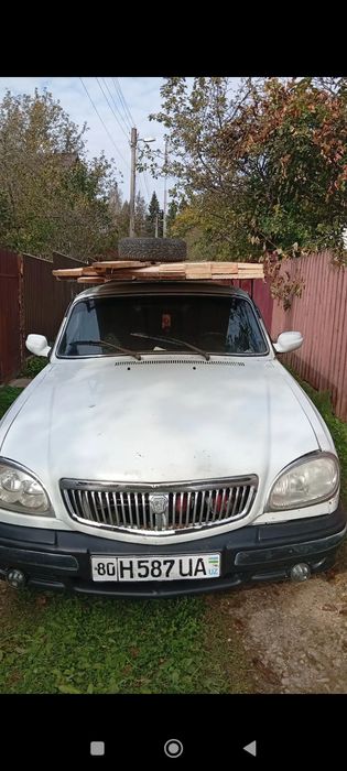 Волга зайчик яхши