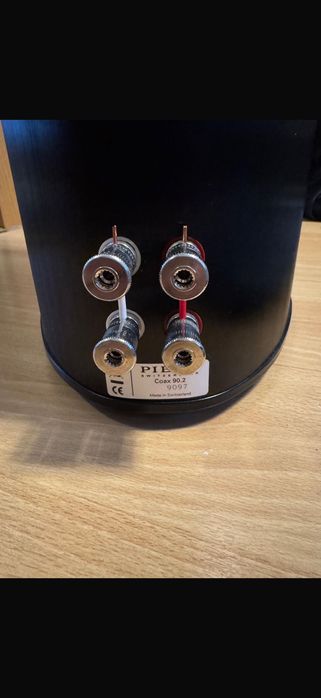 Piega Coax 90.2/Swizerland