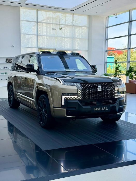 Yang Wang U 8 L CIP