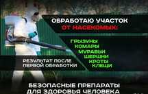 Дезинфекция от клопов дезинсекция dezinfeksiya dizinfeksiy klapa клоп