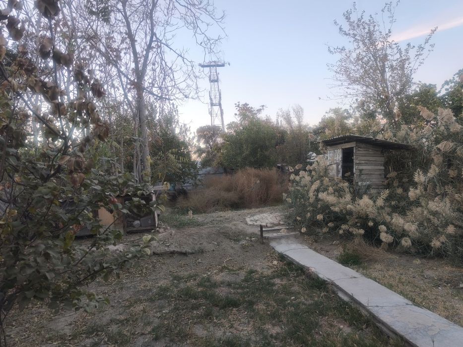 Продается дом на земле в нашем дворе