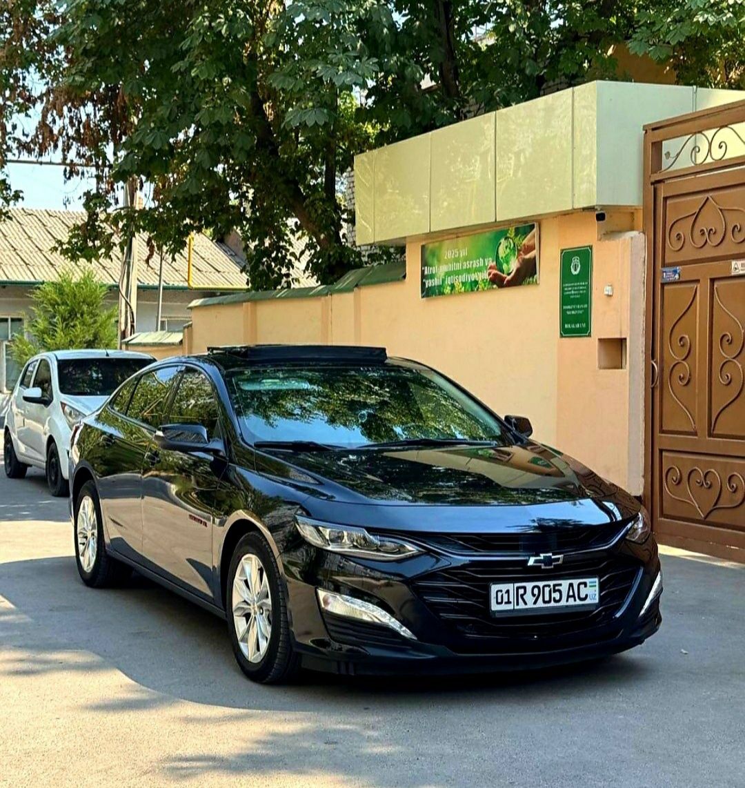 Малибу XL. 2023. Краска тоза.