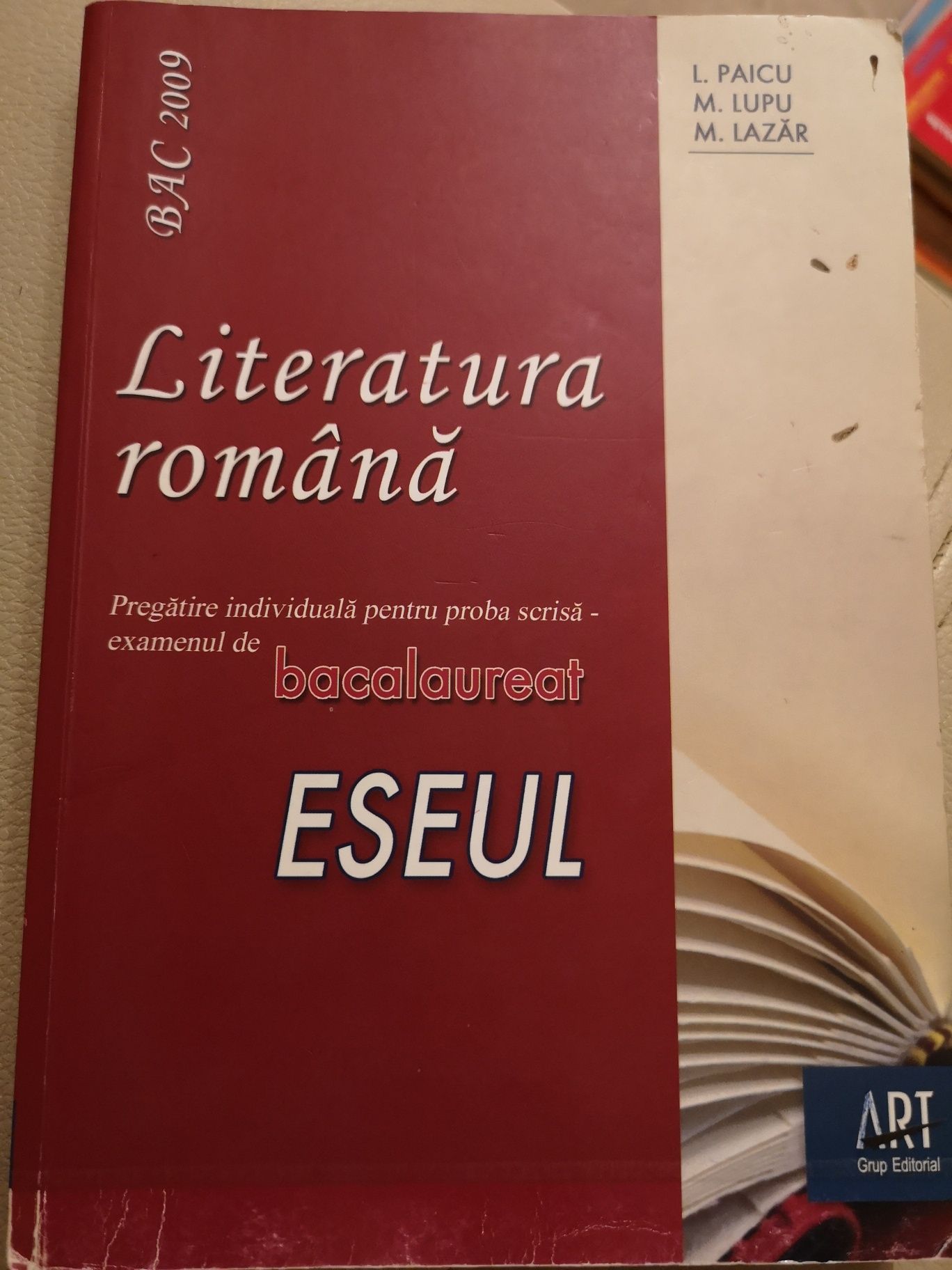 Pregătire bacalaureat limba romana eseul