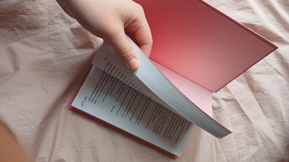 Она любит плохи парней и Метод книжной героини книги от  Алекс Хилл