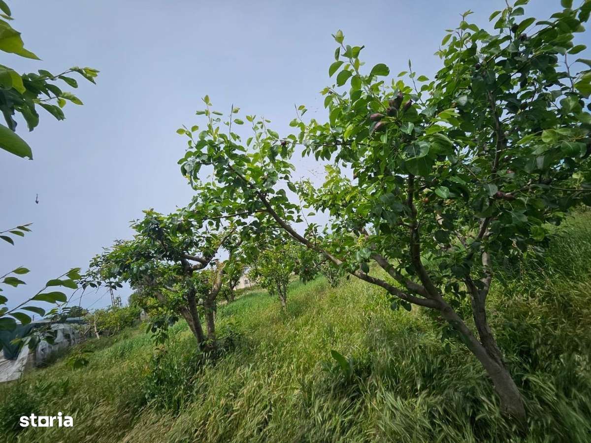 Vând casă 4 camere cu teren 3525 m²