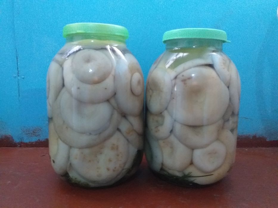 Продам грибы,грузди соленые