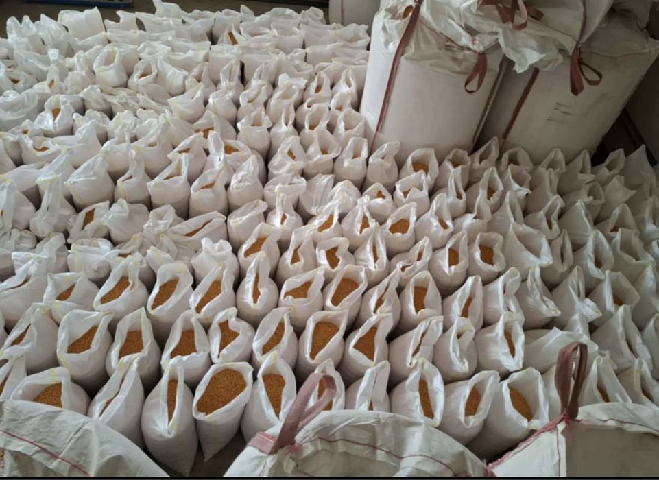 Vând porumb uscat gata pus in saci cu transport la domiciliu