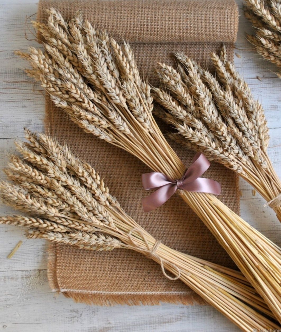 Колосья пшеницы для интерьера