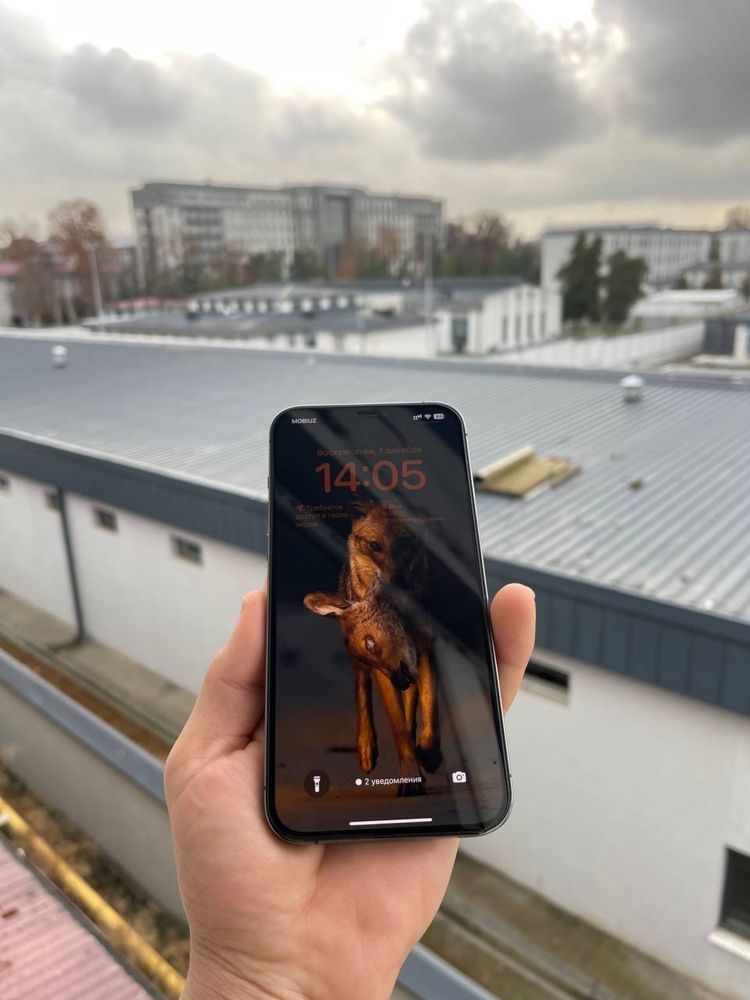 iphone 12 pro max