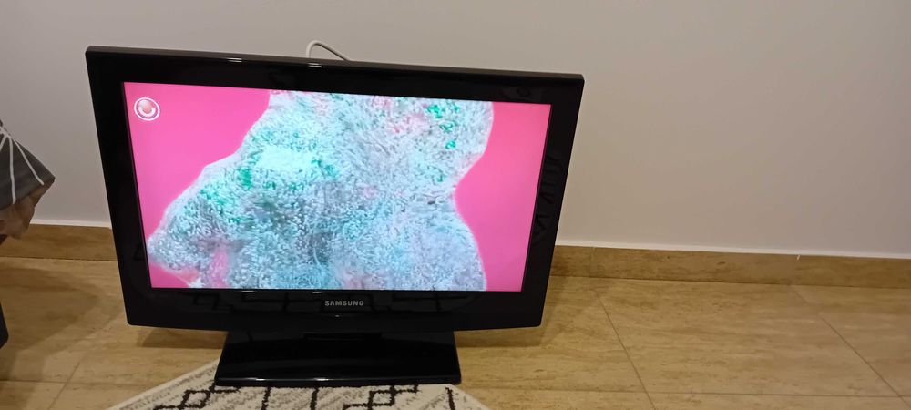 Televizor samsung 22