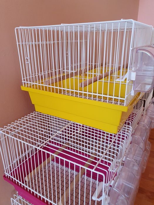 Vand colivii pentru pasari