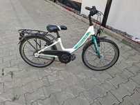 Bicicleta Hercules 20'