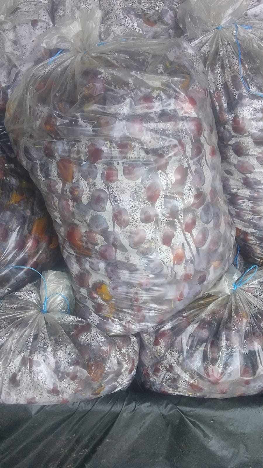 Prune tuica calitate buna