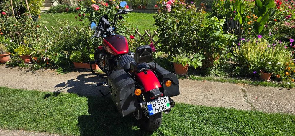 Harley Davidson Street Bob 2019 - ca noua