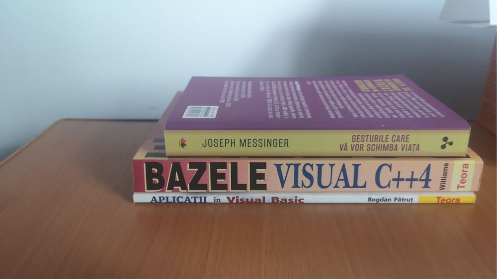 Gesturile care va vor schimba viata, Bazele visual basic C++4 etc