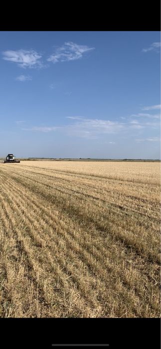 Продам Крестьянское Хозяйство