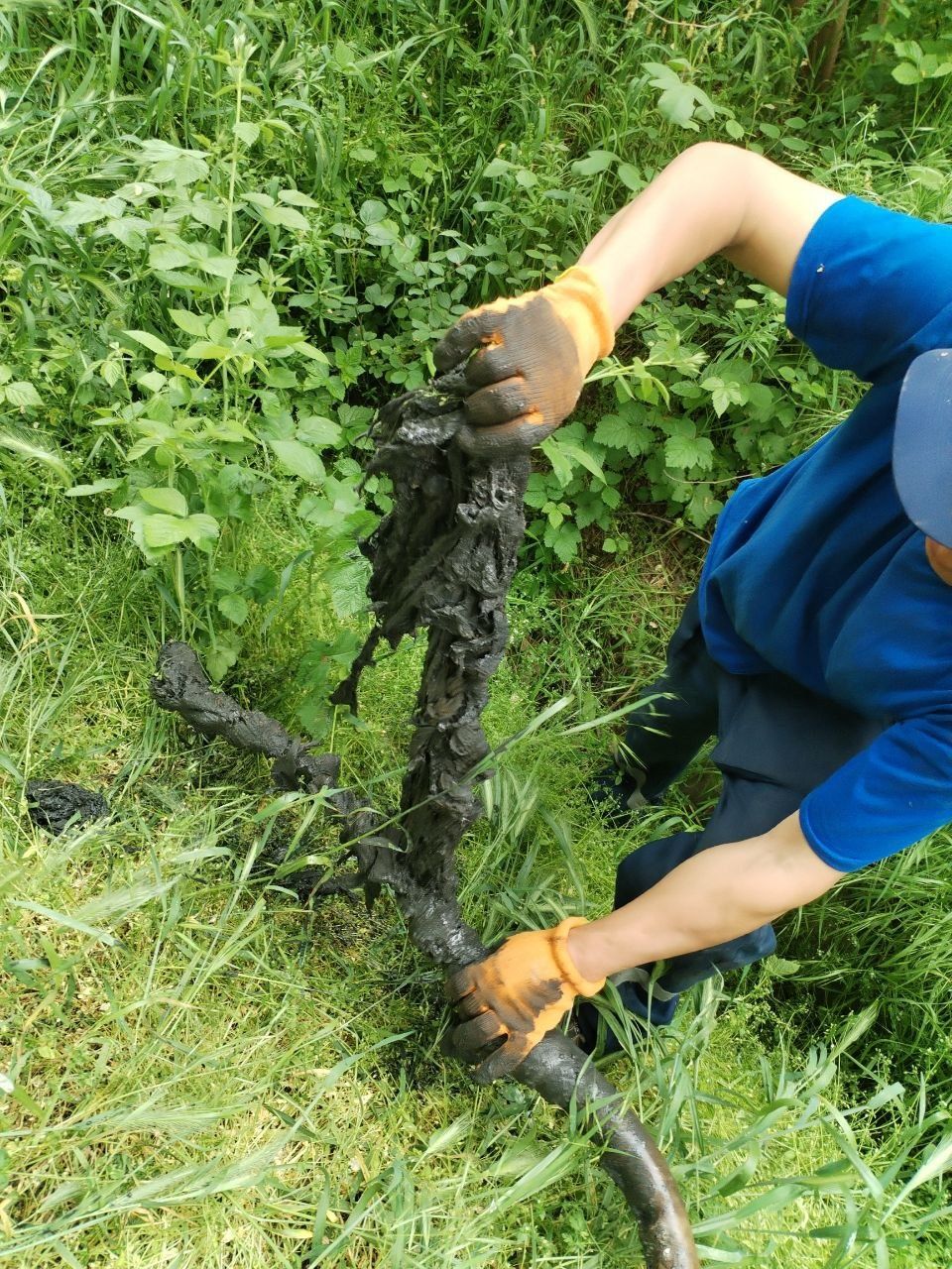 Konalizatsiya tozalash xizmati. Услуга чистки конализатсия