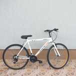 Bicicleta MTB de la Expert 18 viteze