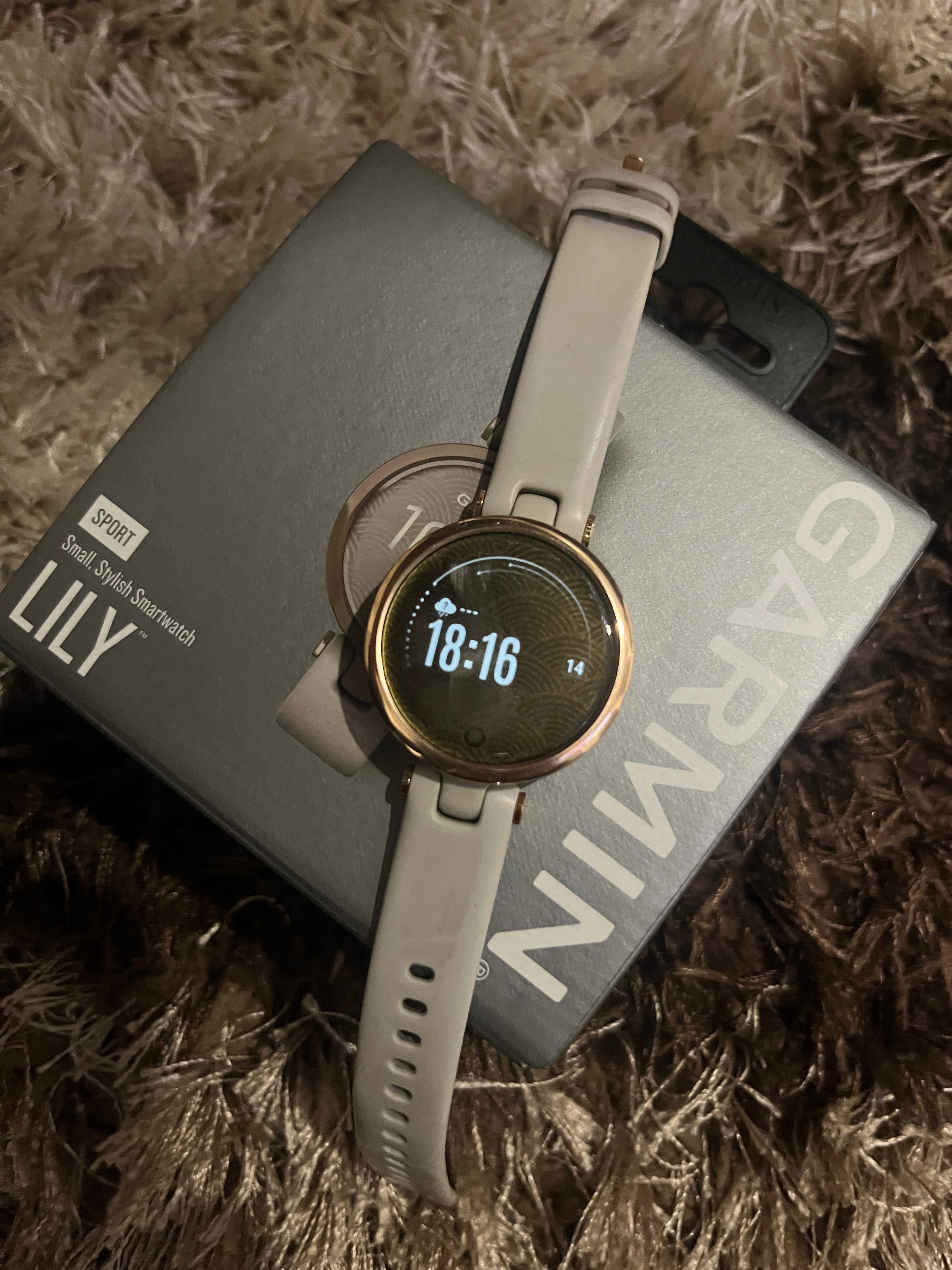 Smart watch Garmin Lily