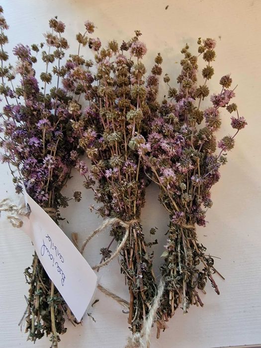 Plante si fructe medicinale