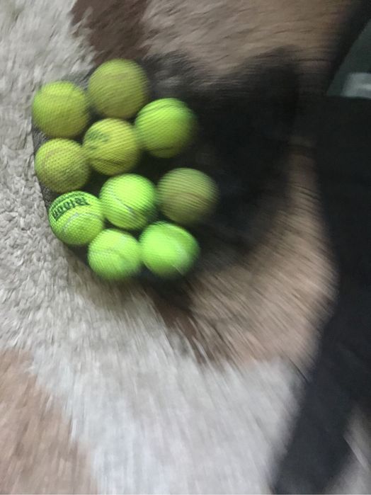 Husa tenis cadou mingi