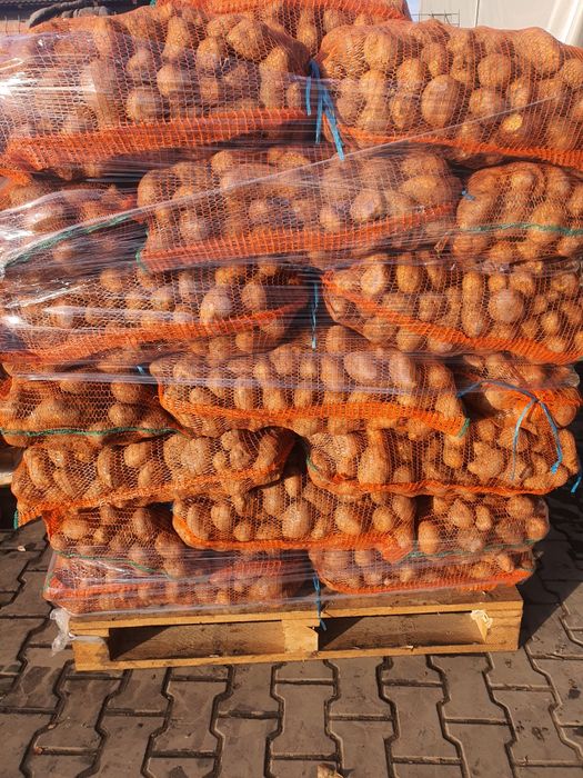 Cartofi alb,  60+ ceapa 50+