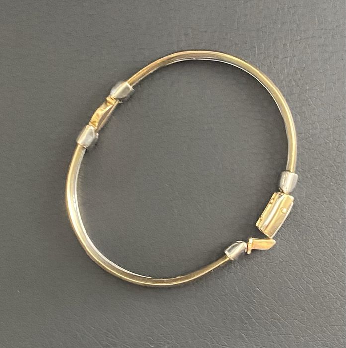 Bratara aur CARNIANI,18k