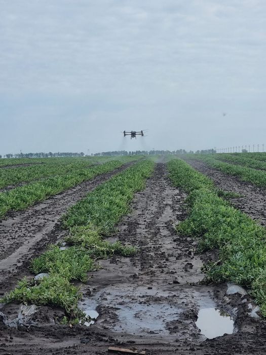 Prestari servicii cu drona agricola